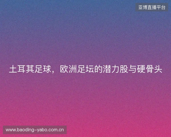 土耳其足球，欧洲足坛的潜力股与硬骨头